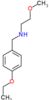 N-(4-ethoxybenzyl)-2-methoxyethanamine