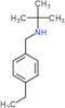 N-(4-ethylbenzyl)-2-methylpropan-2-amine