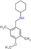 N-(4-methoxy-2,5-dimethylbenzyl)cyclohexanamine