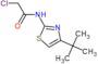 N-(4-tert-butyl-1,3-thiazol-2-yl)-2-chloroacetamide