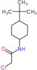 N-(4-tert-butylcyclohexyl)-2-chloroacetamide