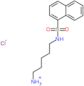 5-[(naphthalen-1-ylsulfonyl)amino]pentan-1-aminium chloride
