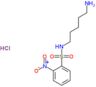 N-(5-aminopentyl)-2-nitrobenzenesulfonamide hydrochloride (1:1)