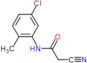 N-(5-chloro-2-methylphenyl)-2-cyanoacetamide