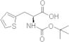 (S)-N-BOC-2-Thienylalanine