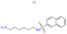 N-(6-Aminohexyl)-2-Naphthalenesulfonamide, Hydrochloride