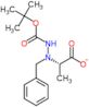 (2S)-2-[1-benzyl-2-(tert-butoxycarbonyle)hydrazino]propanoate