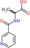 N-(pyridin-3-ylcarbonyl)alanine