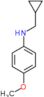 N-(cyclopropylmethyl)-4-methoxyaniline