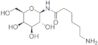 N-epsilon-aminocaproyl-B-D-*galactopyranosylamine