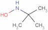 N-tert-butylhydroxylamine