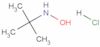 2-Propanamine, N-hydroxy-2-methyl-, hydrochloride (1:1)