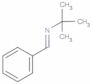 2-Methyl-N-(phenylmethylene)-2-propanamine