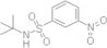 N-tert-Butyl-3-nitro-benzenesulfonamide