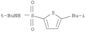 2-Thiophenesulfonamide, N-(1,1-dimethylethyl)-5-(2-methylpropyl)-