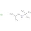 1-Propanamine, N-(1,1-dimethylethyl)-2-methyl-, hydrochloride