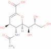 N-acetyl-2,3-didehydro-2-deoxyneuraminic acid