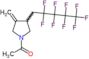 1-acetyl-3-methylidene-4-(2,2,3,3,4,4,5,5,5-nonafluoropentyl)pyrrolidine