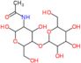 2-(acetylamino)-2-deoxy-4-O-hexopyranosylhexopyranose