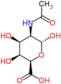 2-(Acetylamino)-2-deoxy-α-L-talopyranuronic acid