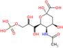 N-Acetylneuraminic acid 9-phosphate