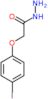 2-(4-iodophenoxy)acetohydrazide