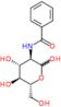 2-(benzoylamino)-2-deoxyhexose