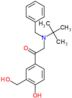 2-[(1,1-Dimethylethyl)(phenylmethyl)amino]-1-[4-hydroxy-3-(hydroxymethyl)phenyl]ethanone