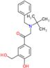 2-[benzyl(tert-butyl)amino]-1-[4-hydroxy-3-(hydroxymethyl)phenyl]ethanone
