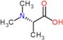 N,N-dimethyl-L-alanine