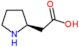 (2S)-pyrrolidin-2-ylacetic acid