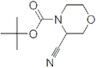 1,1-Dimethylethyl 3-cyano-4-morpholinecarboxylate