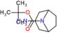 tert-butyl 3-amino-8-azabicyclo[3.2.1]octane-8-carboxylate