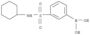 B-[3-[(Cyclohexylamino)sulfonyl]phenyl]boronic acid