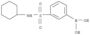 Boronic acid,B-[3-[(cyclohexylamino)sulfonyl]phenyl]-