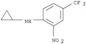 N-Cyclopropyl-2-nitro-4-(trifluoromethyl)benzenamine