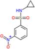 N-cyclopropyl-3-nitrobenzenesulfonamide