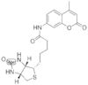 N-D-Biotinyl-7-amino-4-methylcoumarin