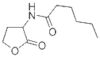 N-CAPROYL-L-HOMOSERINE LACTONE