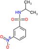 3-nitro-N-(propan-2-yl)benzenesulfonamide