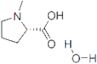 N-methyl-L-proline