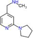 N-methyl-1-(2-pyrrolidin-1-ylpyridin-4-yl)methanamine