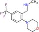 N-methyl-1-[2-morpholin-4-yl-5-(trifluoromethyl)phenyl]methanamine