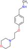 N-methyl-1-[4-(2-morpholin-4-ylethoxy)phenyl]methanamine