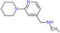 N-methyl-1-(2-piperidin-1-ylpyridin-4-yl)methanamine