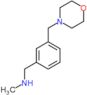 N-methyl-1-[3-(morpholin-4-ylmethyl)phenyl]methanamine