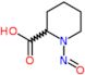 1-nitrosopiperidine-2-carboxylic acid