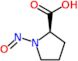 (2R)-1-nitrosopyrrolidine-2-carboxylic acid