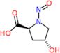 (4R)-4-hydroxy-1-nitroso-L-proline