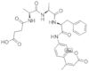 N-succinyl-ala-ala-phe 7-amido-4-*methylcoumarin